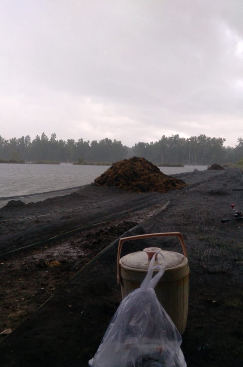asronismae12's tweet photo. Senin (22/07/24), Asroni EA, Luhkan Kab Penajam Paser Utara, 
di Pokdakan Mega Buana Ds Babulu Laut, mendampingi Panen Rumput Laut (gracilaria), tradisional, sebanyak 1.100 kg, 
luas tambak 2,5 ha, harga 3.400/kg

#GiatLuhkanSatminkalTegal #KabPenajamPaserUtara #Panen https://t.co/ihuhAclkv9