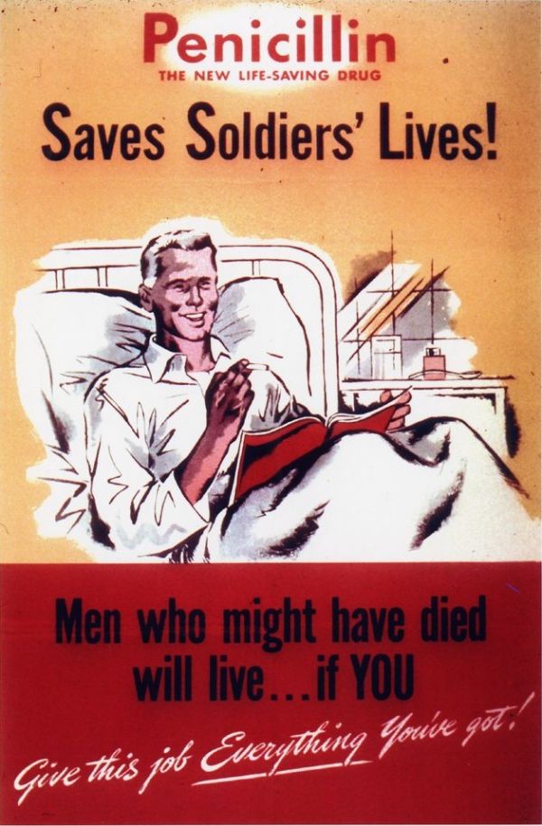 GiovanniCLT's tweet photo. The Discovery of Penicillin is Not as Simple as You've Heard https://t.co/z5owU03nG2 https://t.co/yGSpCmR8pA