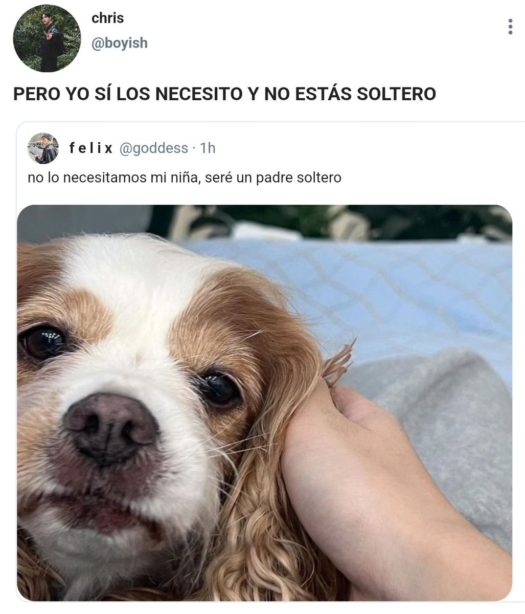 chnlxshome's tweet photo. ★彡 chanlix few tweets au 

donde flx está harto de que chn priorice su trabajo así que le da un ultimátum 

o donde chn intenta recuperar a flx y a berry https://t.co/rcpFNy44Js
