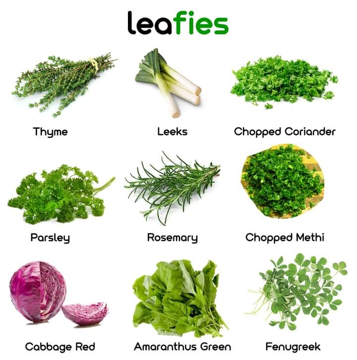 mathenglish4all's tweet photo. #Leafies #Vegetables #Vocabulary https://t.co/KodwWflHJB
