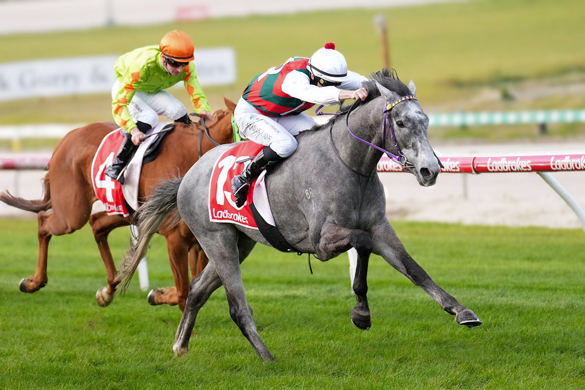 StableConnect tweet media