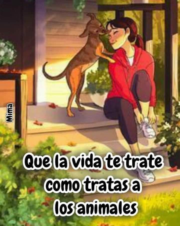 Guadalupe Ramirez tweet media