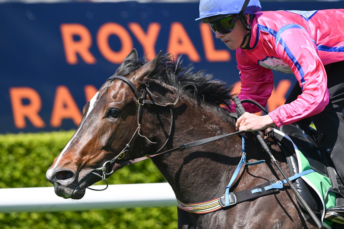 Magic Millions tweet media