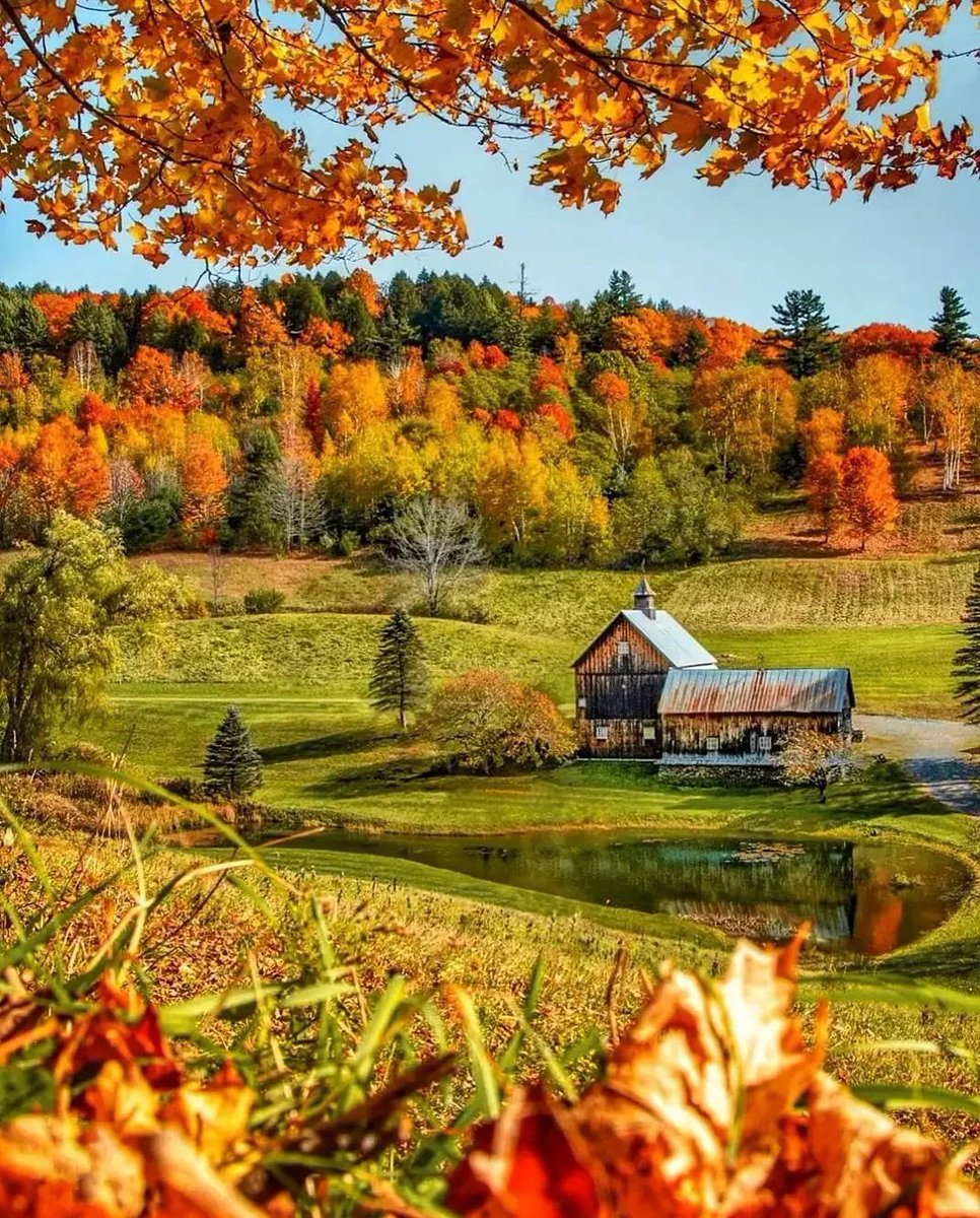 h e l e n a ☃️🌸🍁 tweet media