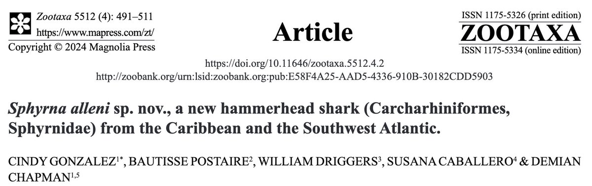 LostSharkGuy tweet media