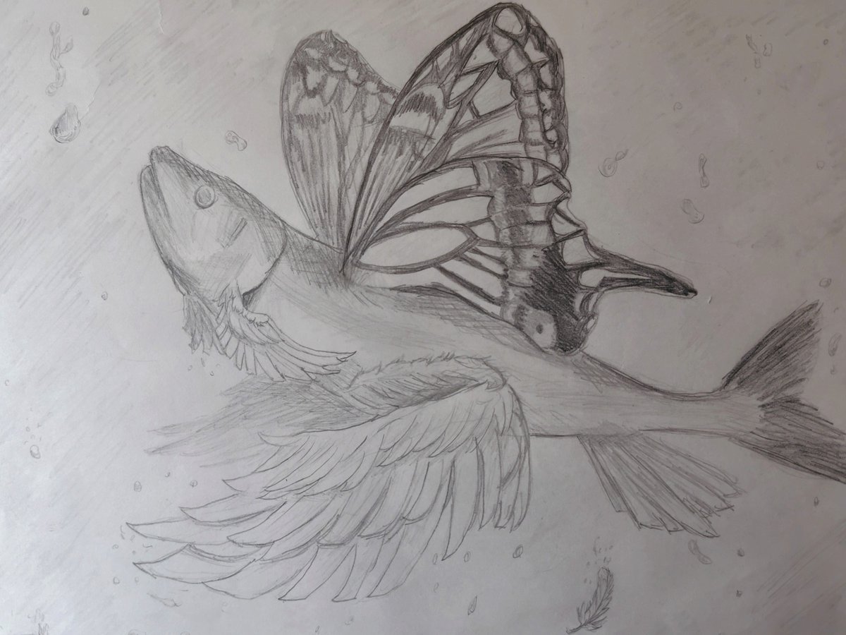 魚