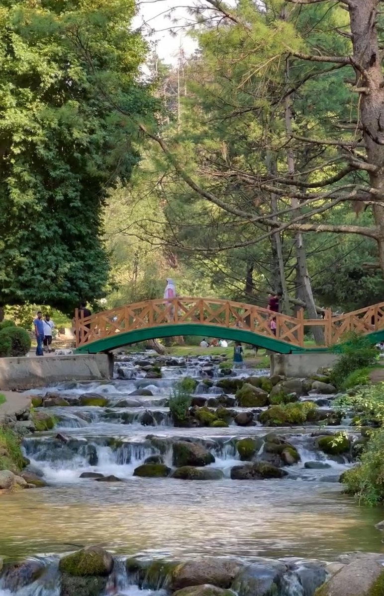 wakashmir's tweet photo. Travel is my oxygen. ❣️
.
.
Credit 📷 #_shahid_kashmir
.
.
#kashmirtourism #indiantravelblogger #indiantraveller #kashmir #kokernag #newreels #traveltheworld #trendingreels https://t.co/UCdDrGkxZl