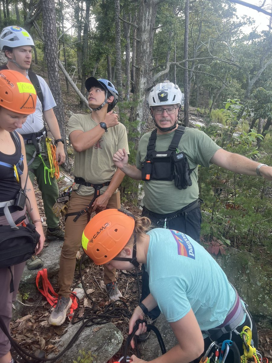 Seth Collings Hawkins tweet media