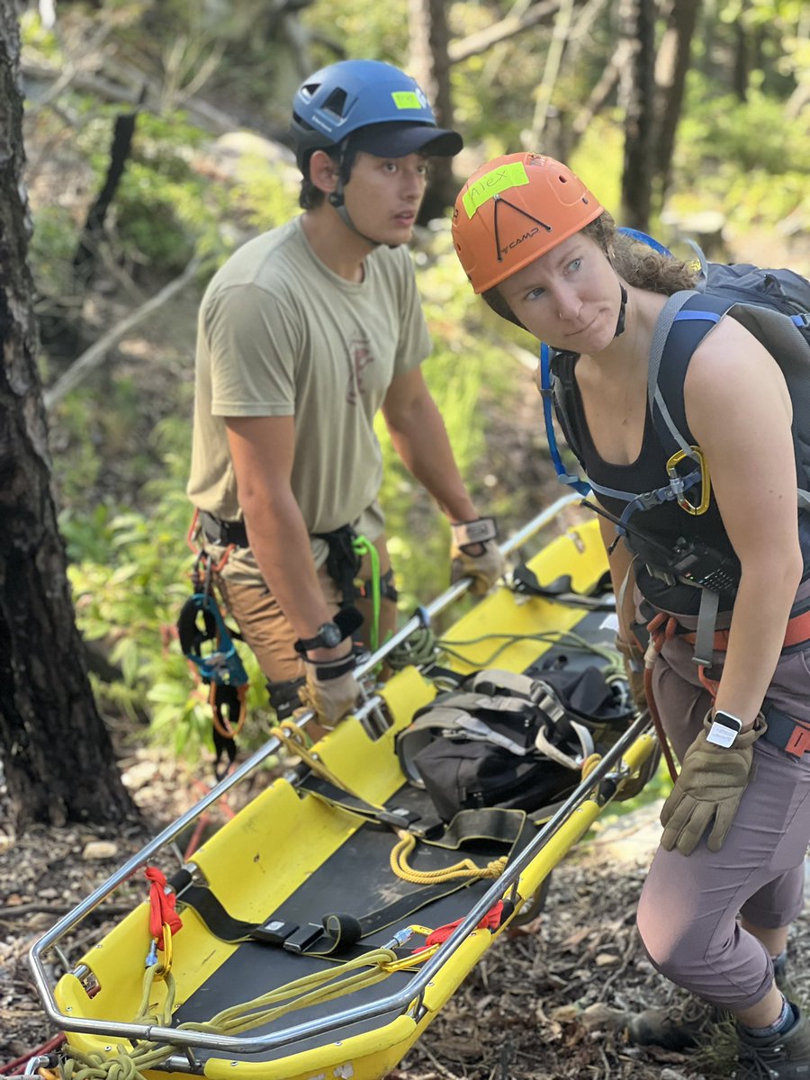 Seth Collings Hawkins tweet media