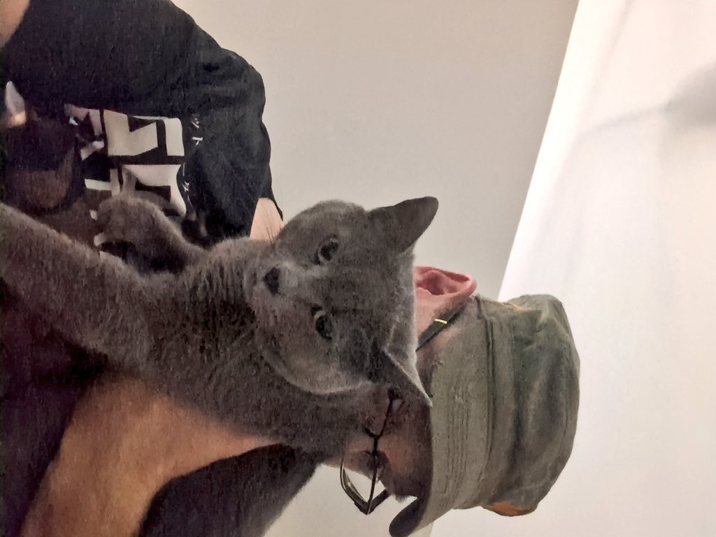 Powerpol's tweet image. Meet #Meowsers