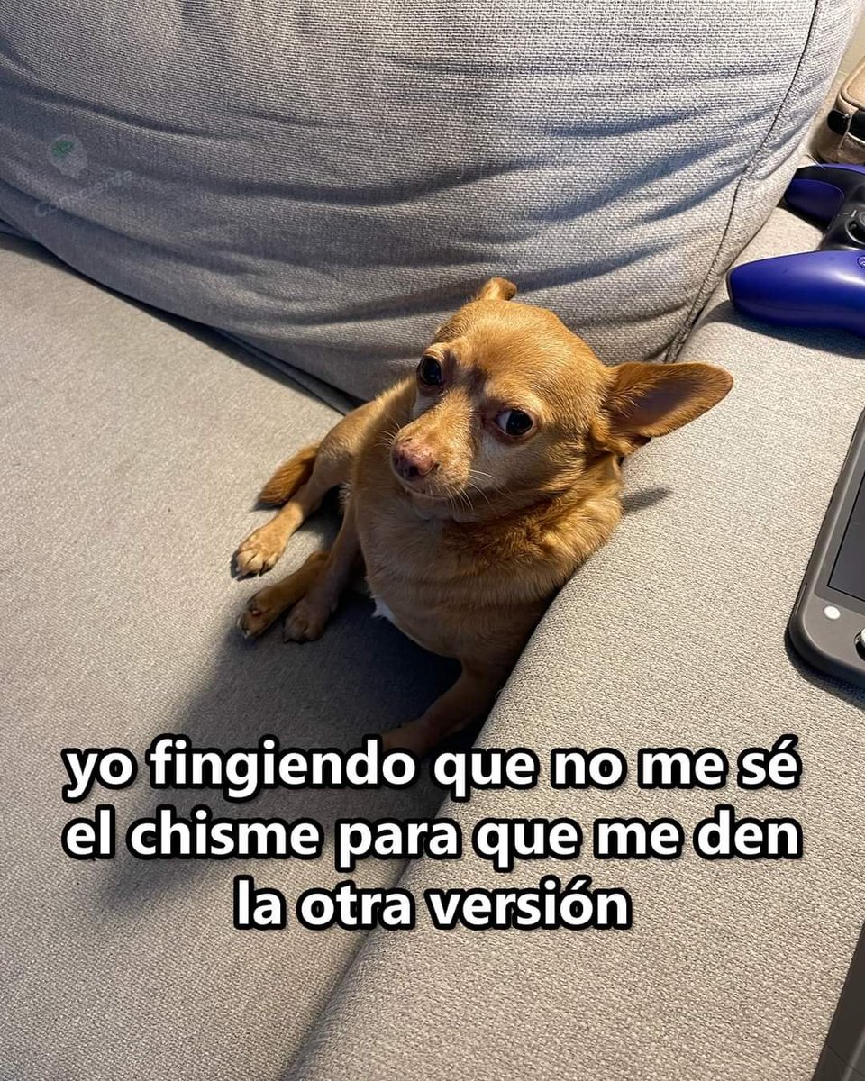 En Júpiter (@en_jupiter_) on Twitter photo 