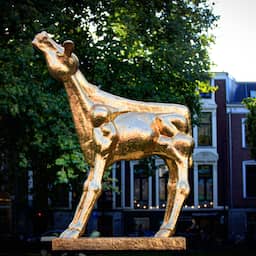 Hardcore Never Dies maakt kans op tien Kalveren, bij series Joodse Raad favoriet dlvr.it/TDYmnj