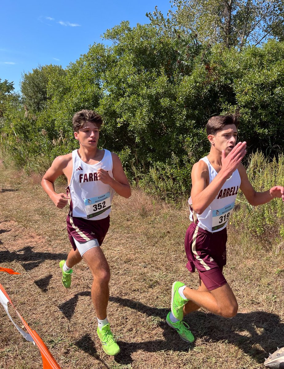 Msgr Farrell Track tweet media