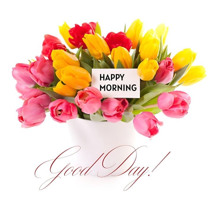 dpsmau's tweet photo. @Imsonikasingh Good morning https://t.co/sgmP79fQtV
