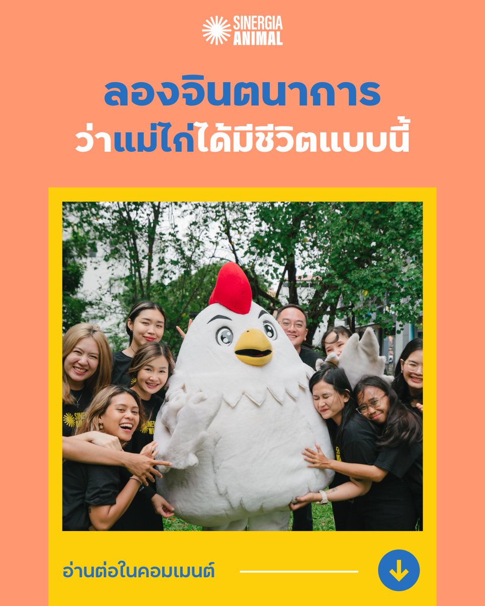 sinergia_thai's tweet photo. แม่ไก่ทุกชีวิตสมควรได้รับโอกาสและอิสรภาพในการใช้ชีวิตนอกกรง ร่วมลงชื่อเพื่อบอกให้ ZEN Group ประกาศไม่สั่งซื้อไข่จากกรงขัง https://t.co/CMJj48C20e

#วีแกน #แพลนต์เบส #GoCageFree #สวัสดิภาพสัตว์ #ZenGroup #ไข่ #แม่ไก่ #สัตว์น่ารัก https://t.co/YEzNTzUaFk