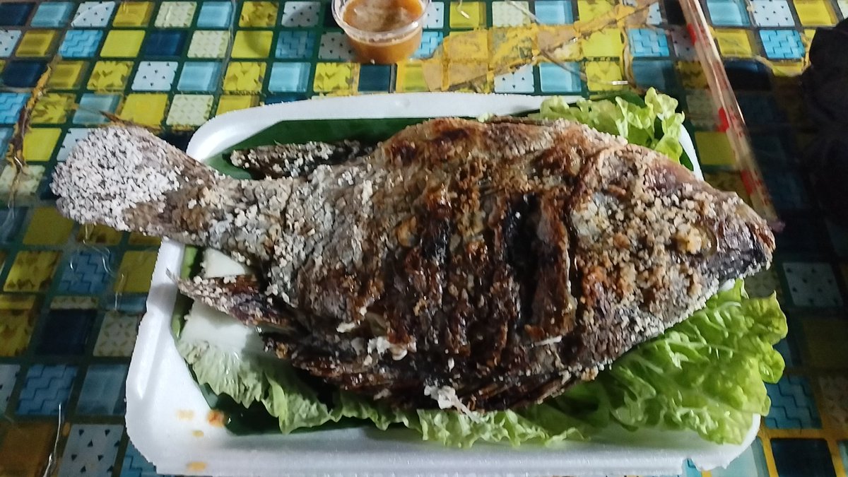 老鼠爱打洞 tweet media