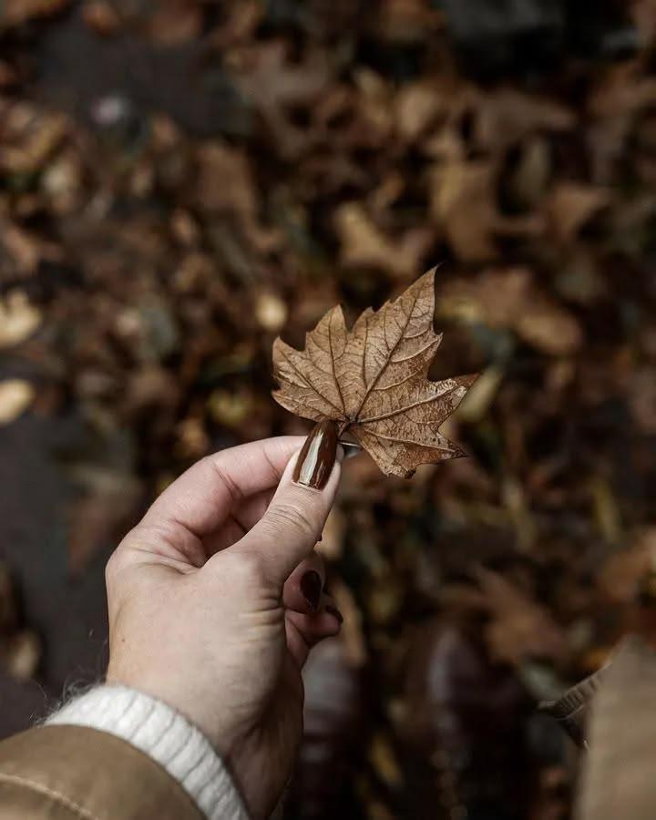 Sweater weather🧣🍂