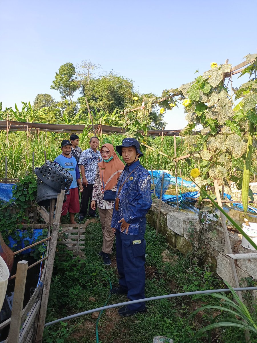 n_dyera's tweet photo. Rabu (14/8/2024), Novie DI_Luhkan Kudus di Pokdakan Beyong Sejahtera Ds. Bulungcangkring Kec. Jekulo panen produksi 30kg/minggu dijual melalui fb&amp;WAG disiangi trlbh dahulu harga 22rb/kg #GiatLuhkanSatminkalTegal #luhlapor @bppsdm_kp @bppsdm_puslatkp @PKBLU_bp3tegal https://t.co/ZwizrH2tW0