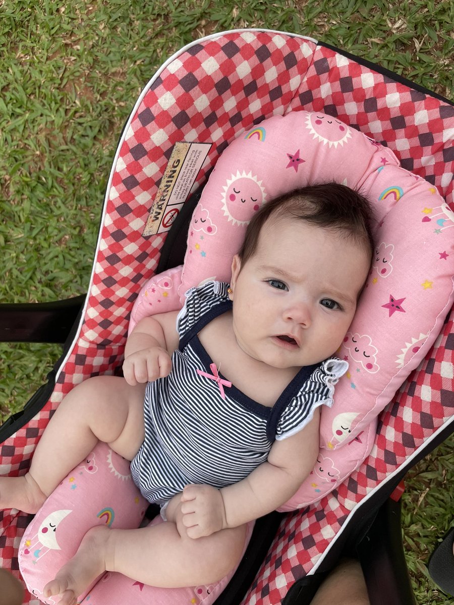 primavera 🌻💐💗✨