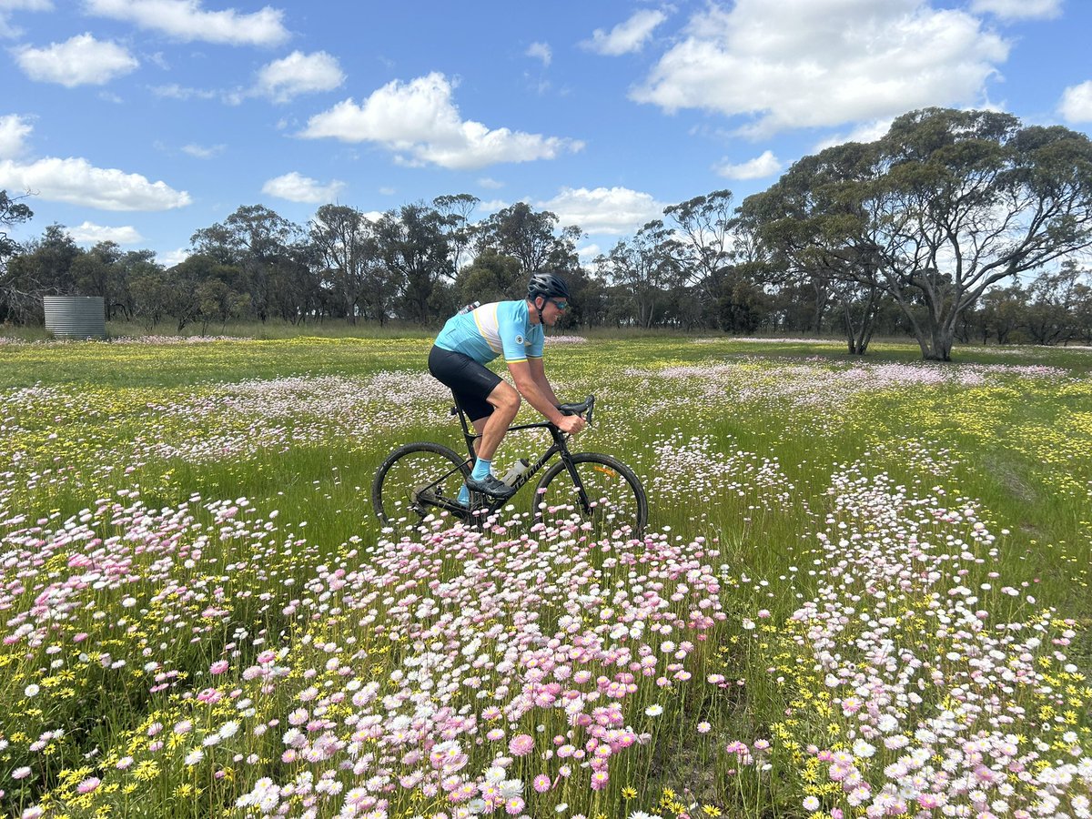 Wayne Pech tweet media