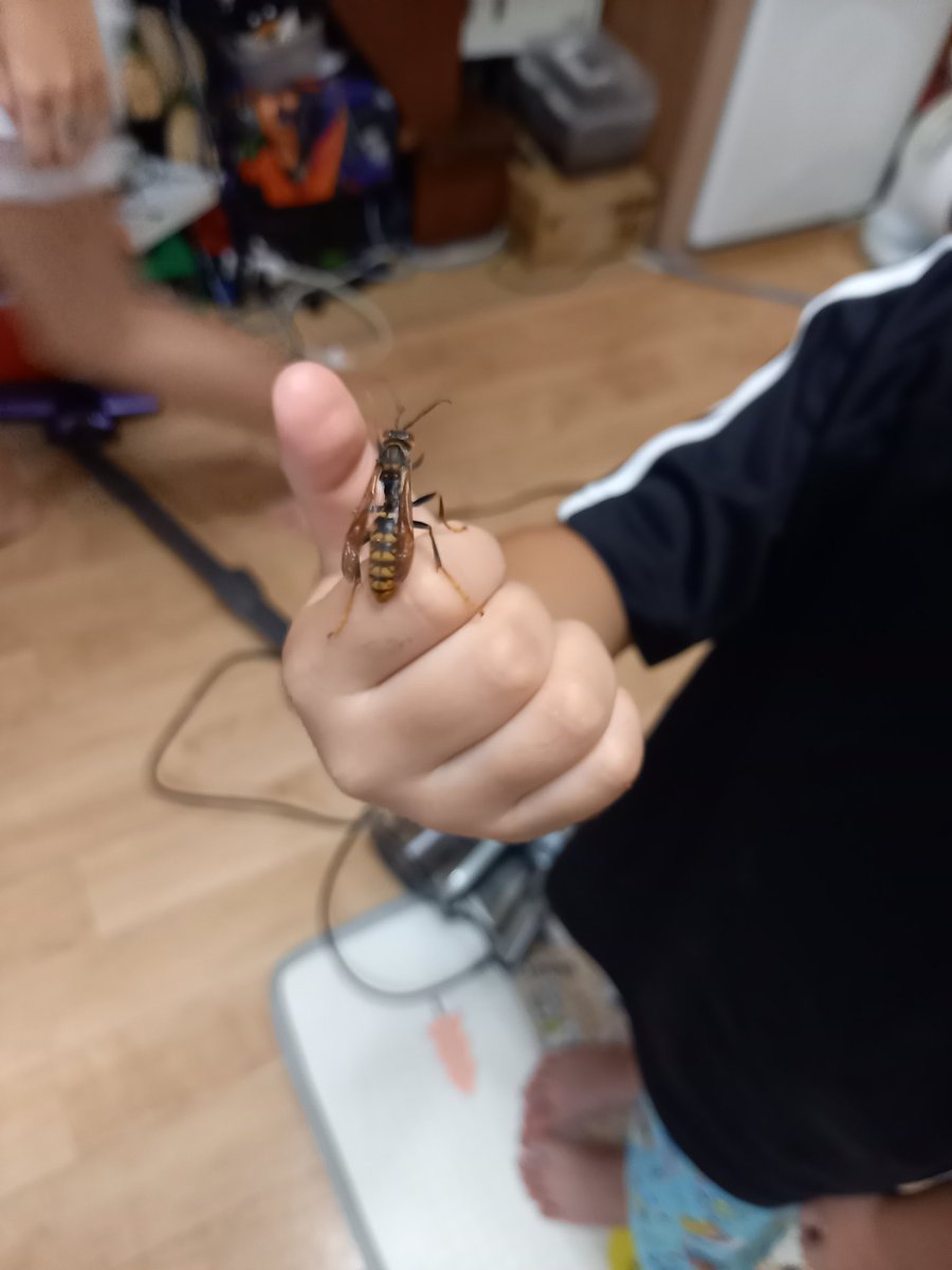 _244com's tweet photo. 英才教育の真骨頂やろ？ https://t.co/rewMKuj11T