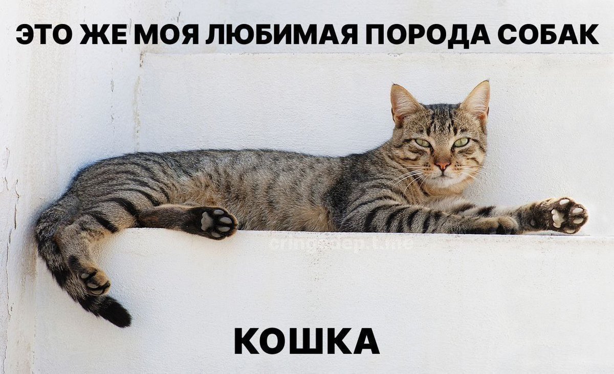 Gribanov's tweet photo. https://t.co/su2iVFKpOK
