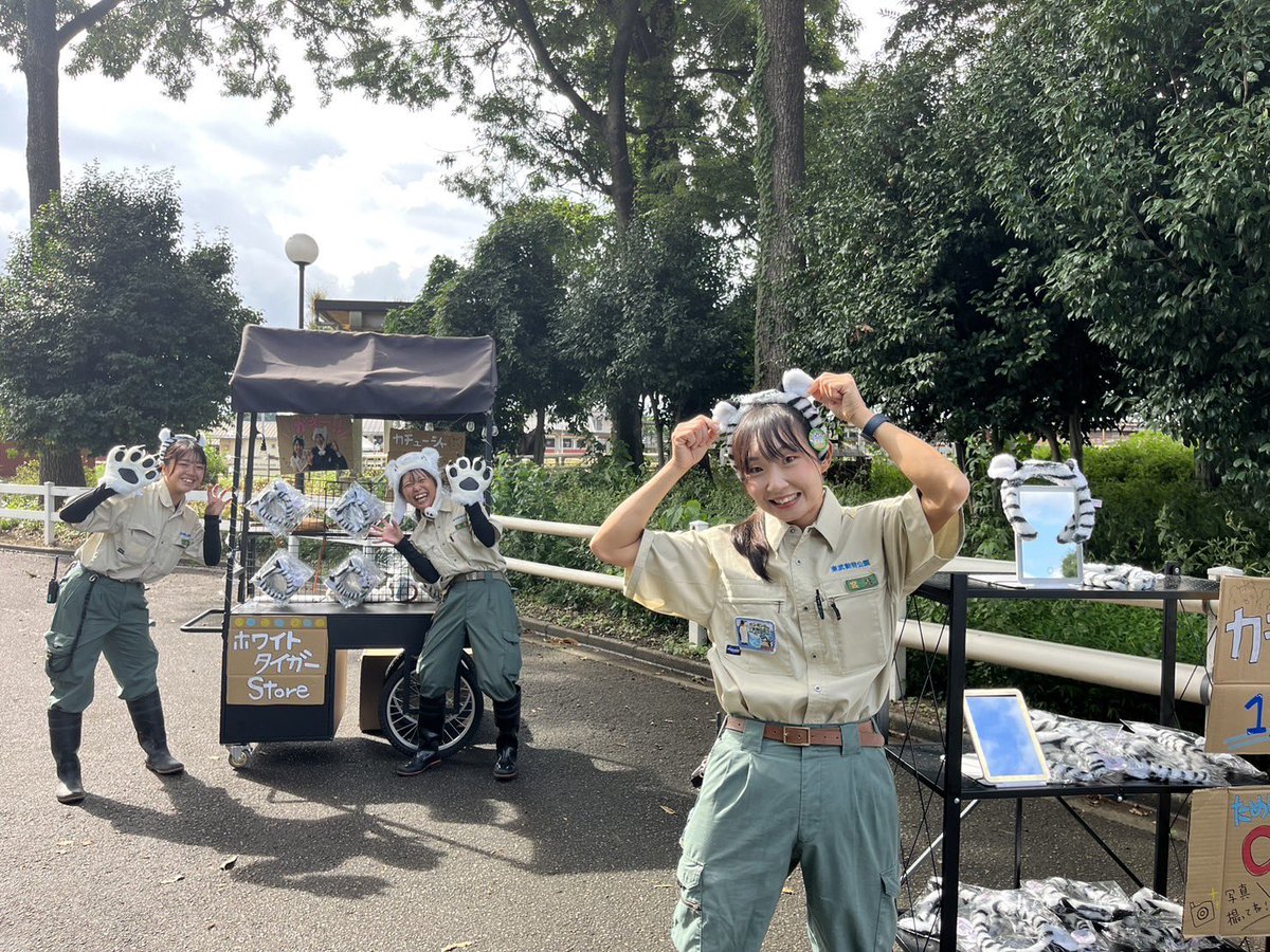 ただいま、園内でホワイトタイガーカチューシャ販売中！🎉 ぞくぞくと