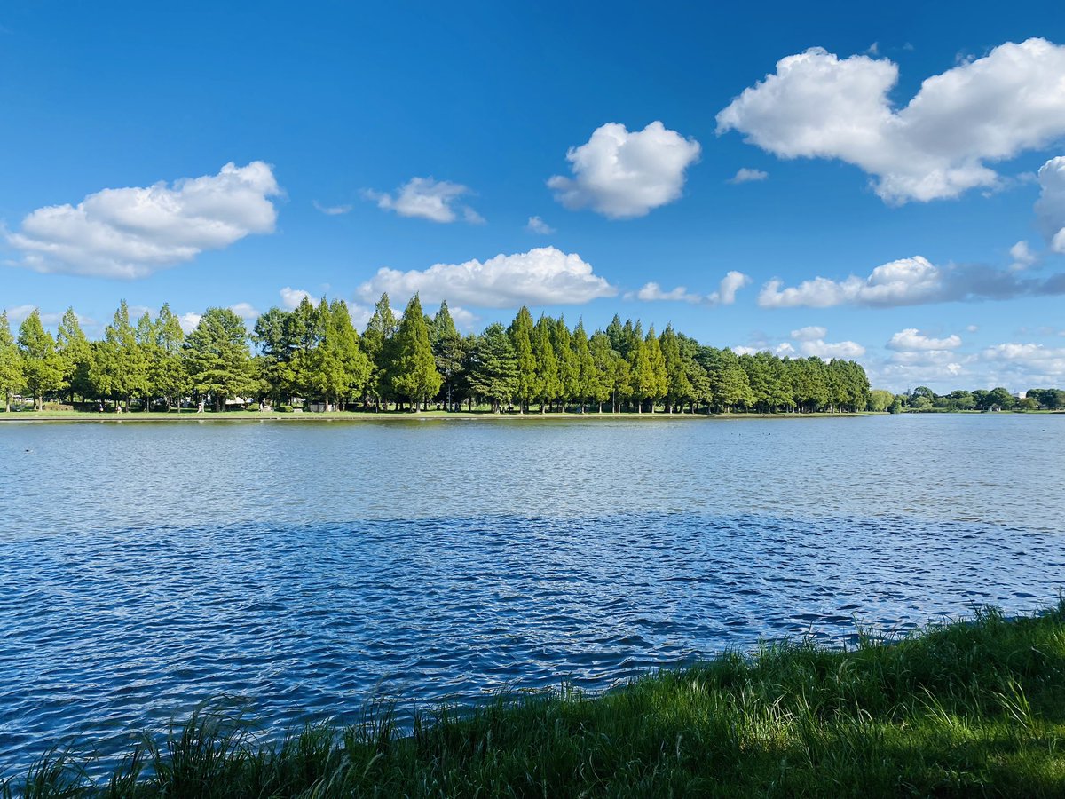 やっとアウトドアワークが気持ち良い季節到来。仕事が捗る。