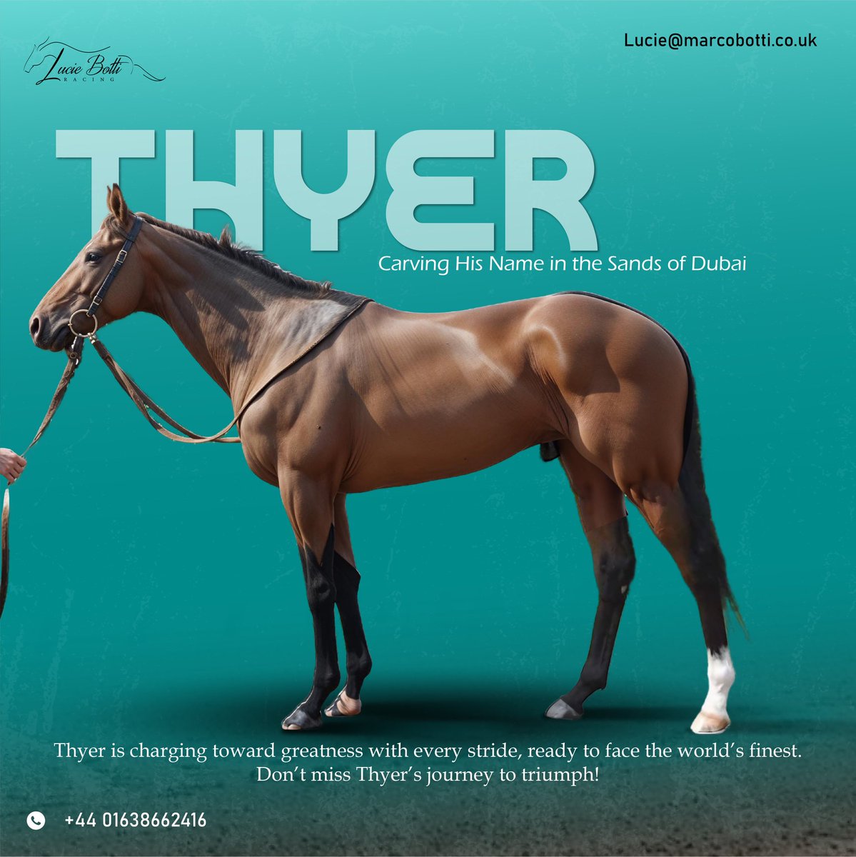 "Thyer is on a path to greatness, carving his name in the sands of Dubai 🏇. Ready for his next challenge and aiming for triumph—don't miss his incredible journey! #Thyer #DubaiRacing #RaceToVictory"