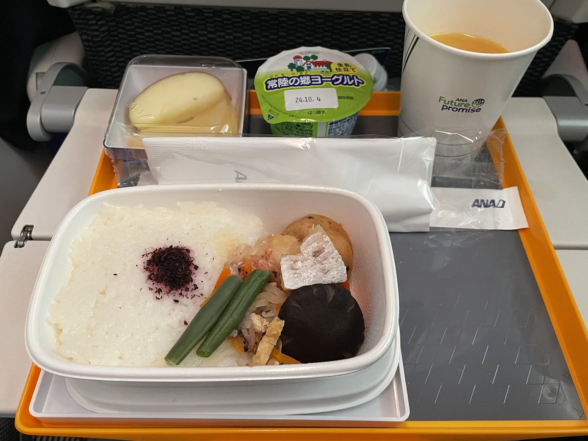 機内食うまでした
朝ごはんはもうちょい白飯減らすか、おかず増やしてほしいです🥺