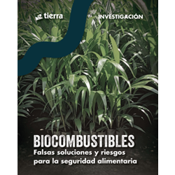 RECURSOS 📚 #Biocombustibles: Falsas soluciones y riesgos para la #SeguridadAlimentaria de <a href="/FundacionTIERRA/">Fundación TIERRA</a> 

👉landportal.org/library/resour…