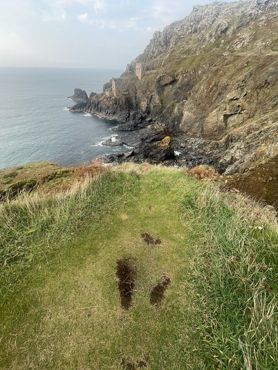 Actual tripod holes!