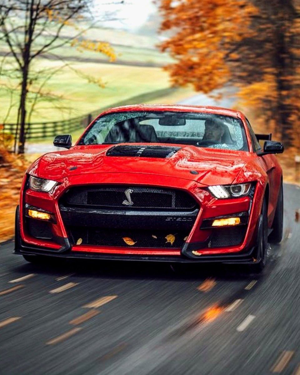 “ Mustang Monday “   🍂❤️🍁
