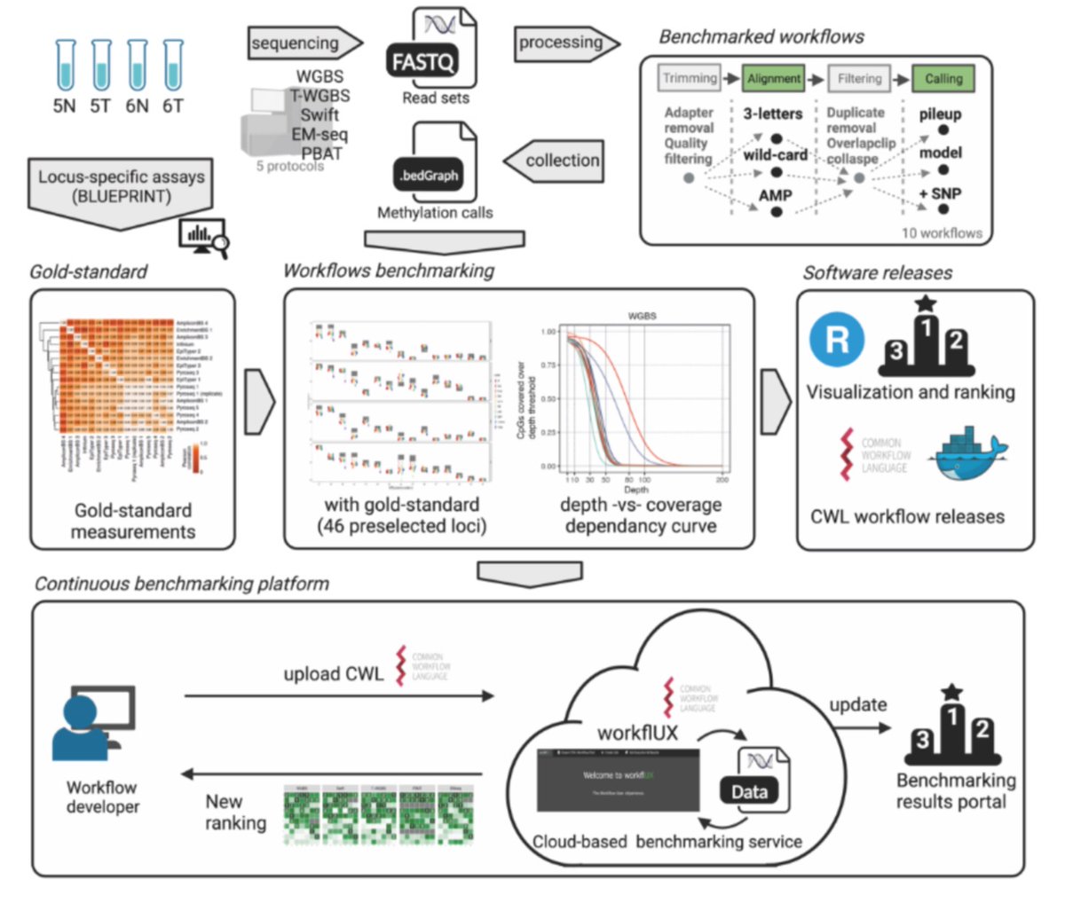 ManelEsteller's tweet image. Contributing to tour de force led by Reka Toth @rn_toth @rn_toth and Pavlo Lutsik @pavlo_lutsik from
@LIH_Luxembourg @KU_Leuven @DKFZ comparing #computational workflows for processing DNA #methylation sequencing data. Called "Pipeline Olympics" is available at @biorxivpreprint…
