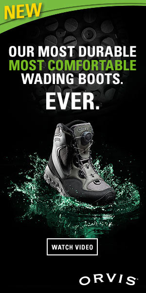 11 Tips for Spotting Tarpon dlvr.it/TDZPvp