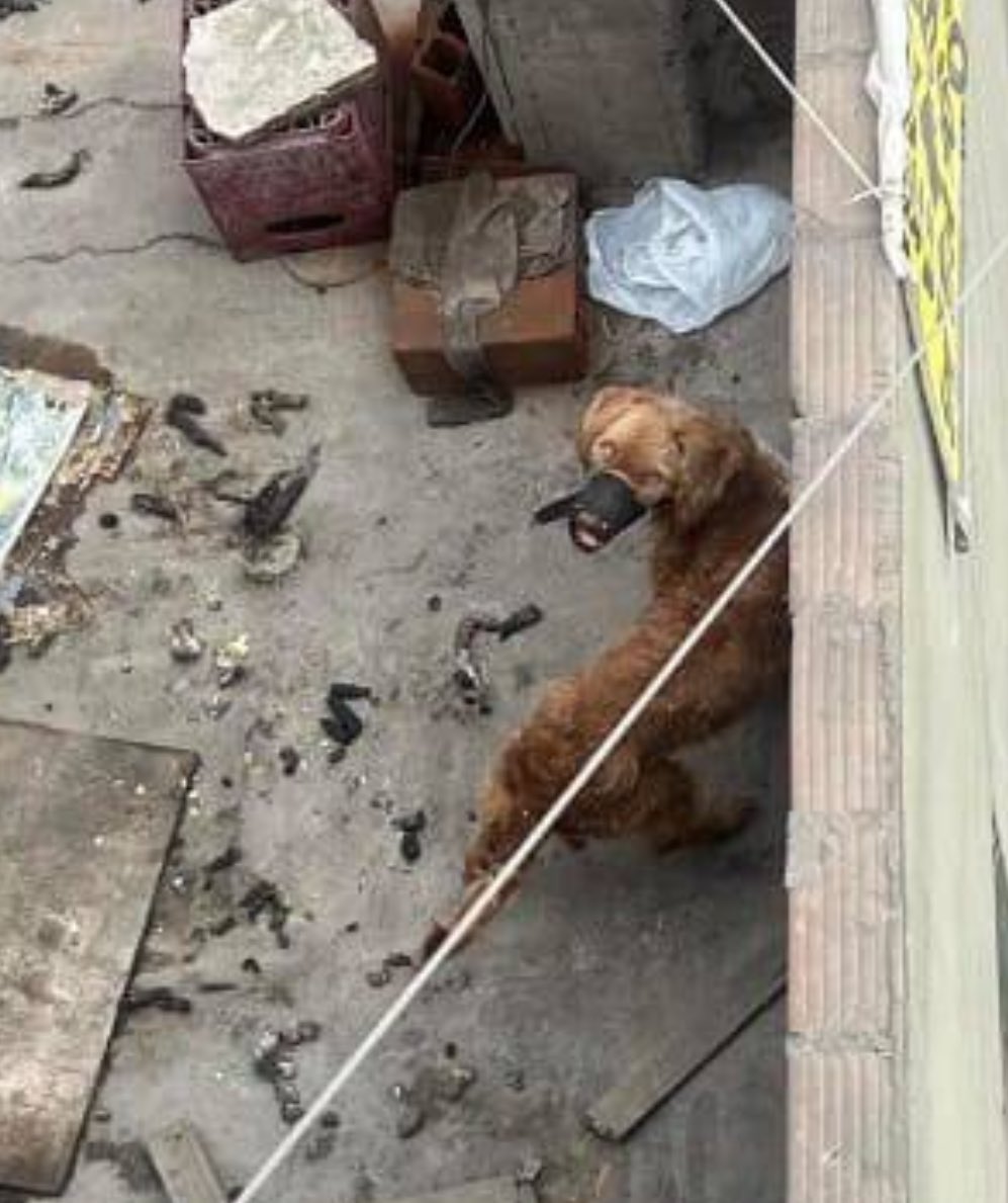 𝐌𑁤 tweet media