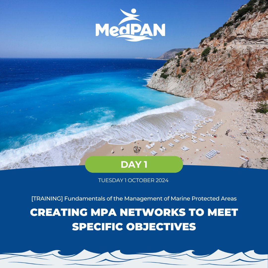 Day 1 - October 1, 2024 [TRAINING] Fundamentals of the Management of Marine Protected Areas

📢 Kickoff: MPA Network Design

Today, participants dive into the importance of Creating Marine Protected Area (MPA) Networks.

<a href="/theGEF/">Global Environment Facility (GEF)</a> <a href="/TheMedFund/">The MedFund</a>  <a href="/akdenizkoruma/">Akdeniz Koruma Derneği</a>