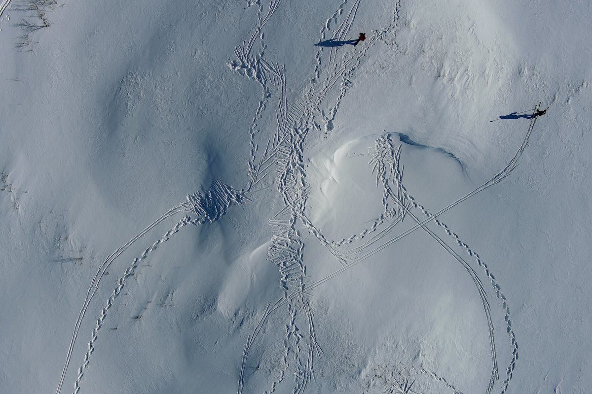@VerdonenM palsa article now out! Be sure to also check our #StoryMap on the diminishing palsa mires of Fennoscandia: bit.ly/3zkoXkC, the last #permafrost features of this region