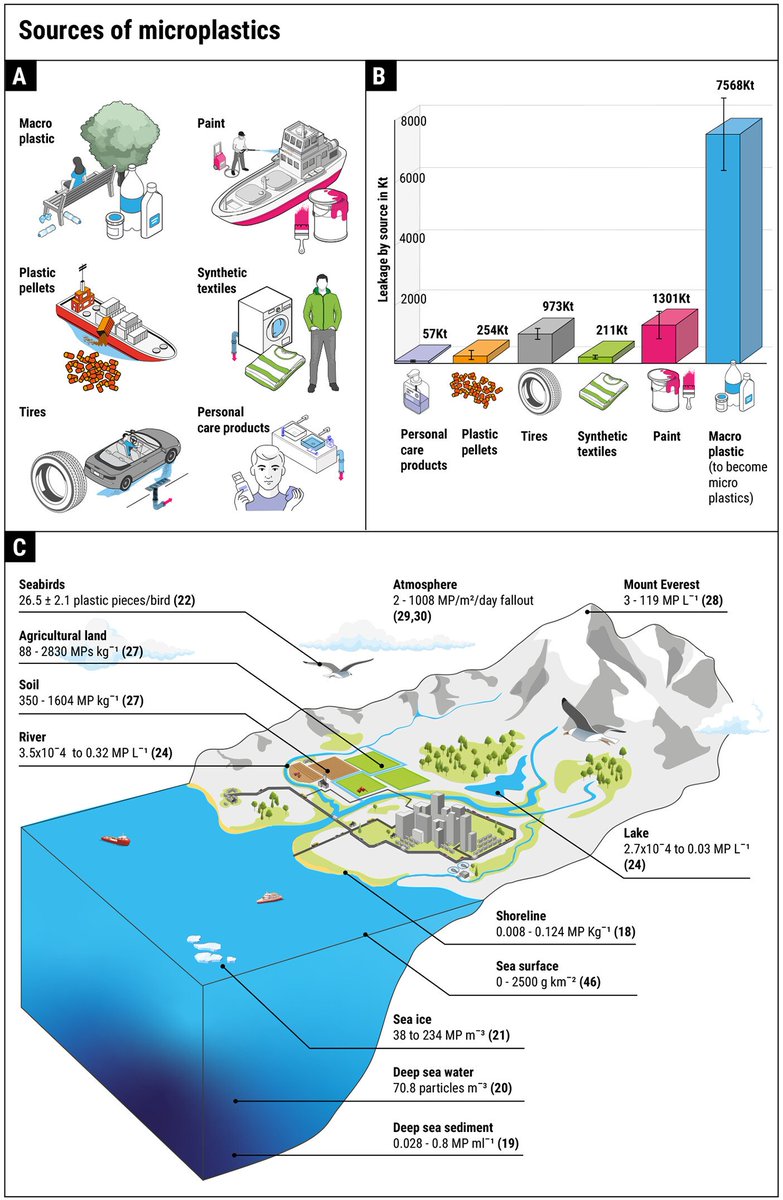 Se acaba de publicar un artículo en <a href="/ScienceMagazine/">Science Magazine</a> recopilando la investigación de estos últimos 20 años sobre microplásticos, desde la primera vez que se usó el término en 2004.
Se ha demostrado su acumulación ambiental y presencia en los entornos más diversos, la presencia ⬇️