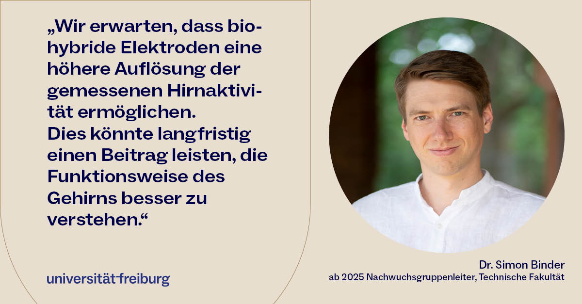 Universität Freiburg (@unifreiburg) on Twitter photo Dr. Simon Binder hat Förderung der Carl-Zeiss-Stiftung <a href="/CZ_Stiftung/">Carl-Zeiss-Stiftung</a> in Höhe von 1.5 Millionen Euro für fünf Jahre eingeworben. Er wird die Nachwuchsgruppe „Biohybride Neuroimplantate basierend auf weichen Hydrogel-Elektroden“ an der #UniFreiburg aufbauen. ufr.link/czs-binder Dr. Simon Binder hat Förderung der Carl-Zeiss-Stiftung <a href="/CZ_Stiftung/">Carl-Zeiss-Stiftung</a> in Höhe von 1.5 Millionen Euro für fünf Jahre eingeworben. Er wird die Nachwuchsgruppe „Biohybride Neuroimplantate basierend auf weichen Hydrogel-Elektroden“ an der #UniFreiburg aufbauen. ufr.link/czs-binder