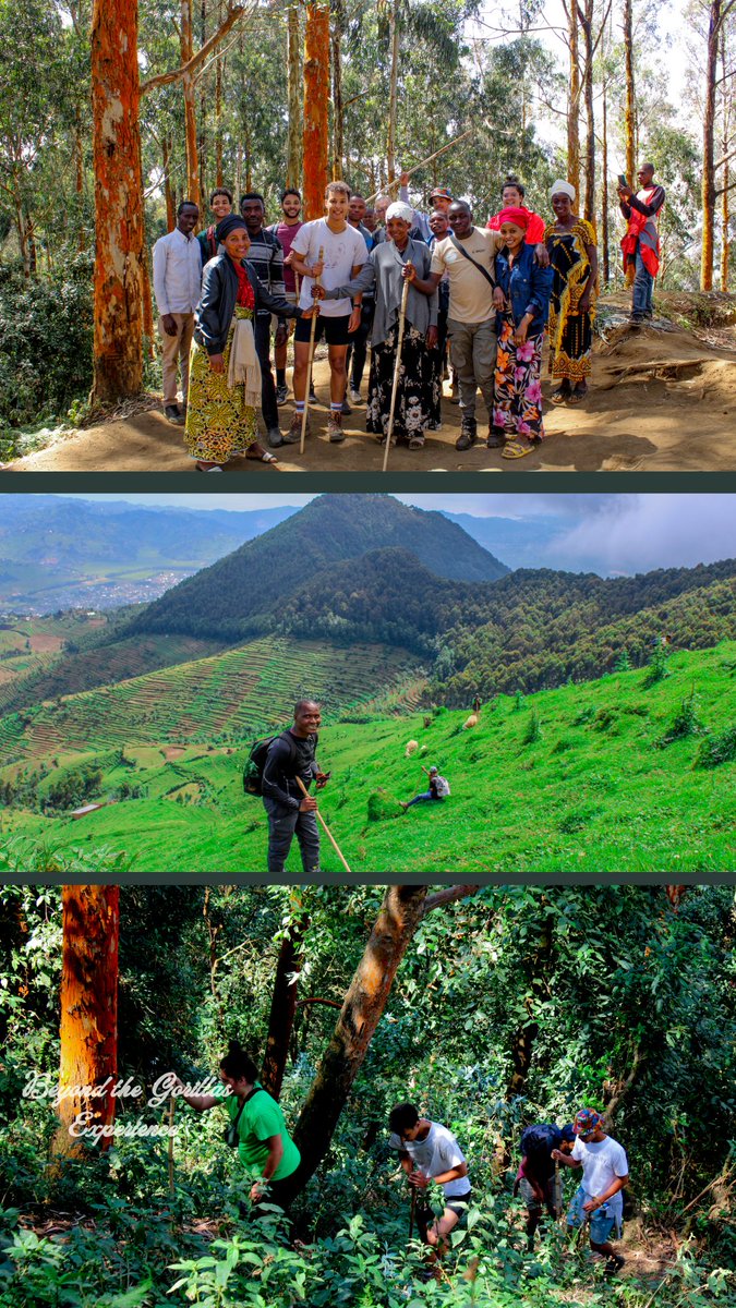 𝐌𝐎𝐔𝐍𝐓 𝐌𝐔𝐇𝐔𝐍𝐆𝐖𝐄 𝐇𝐈𝐊𝐄:
When you reach <a href="/RubavuDistrict/">Rubavu District</a> , you will be amazed by Mount Muhungwe, a site rich in history and unparalleled beauty that you won't find anywhere else, enhanced by worshipping Christians at the summit.

#VisitRwanda #MountMuhungwe #TrustBGE