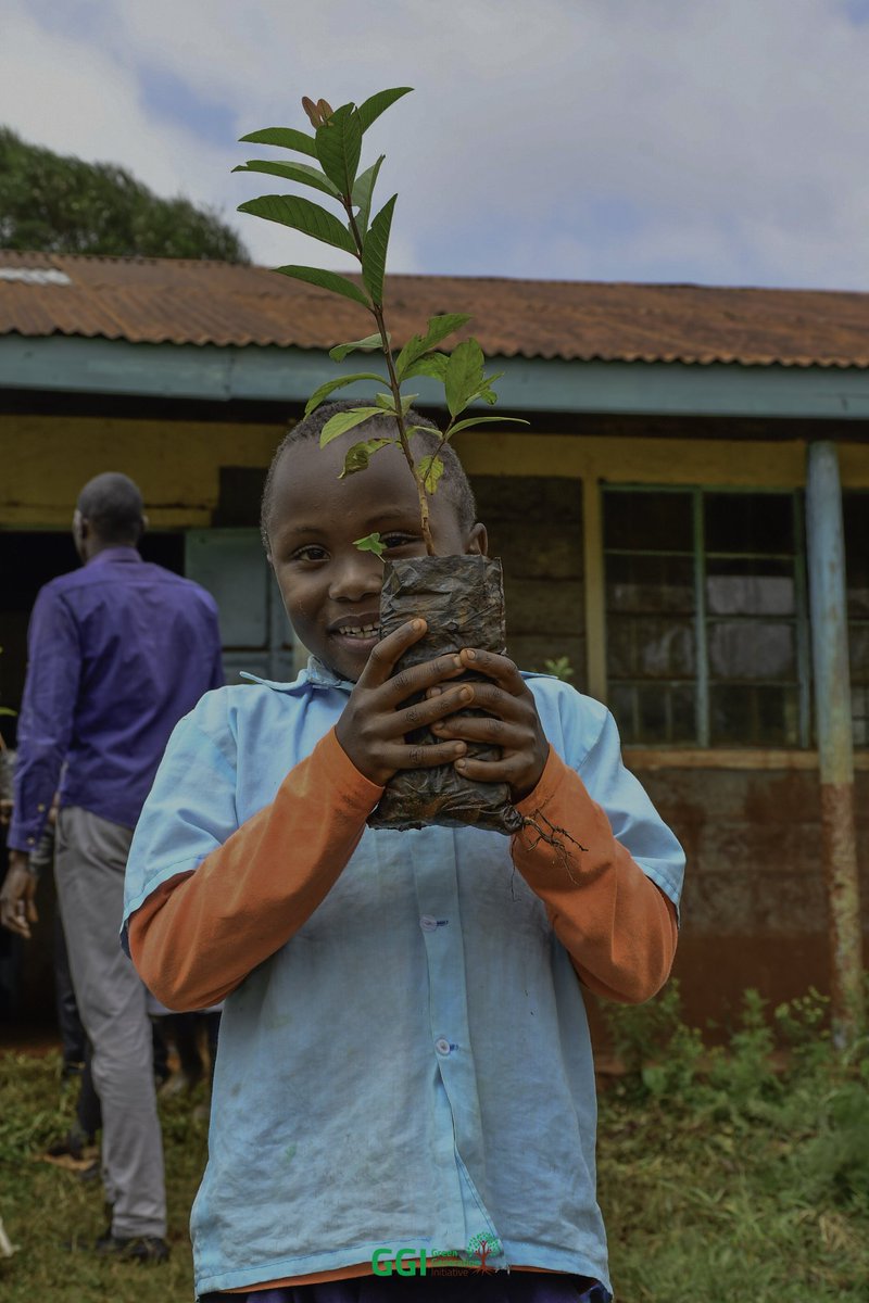 Happy New Week Ahead🌳🌳

Let's remember to take care of our environment.
It is our responsibility.

Plant a tree or two if you get a chance to☘️
#trees 
#environment