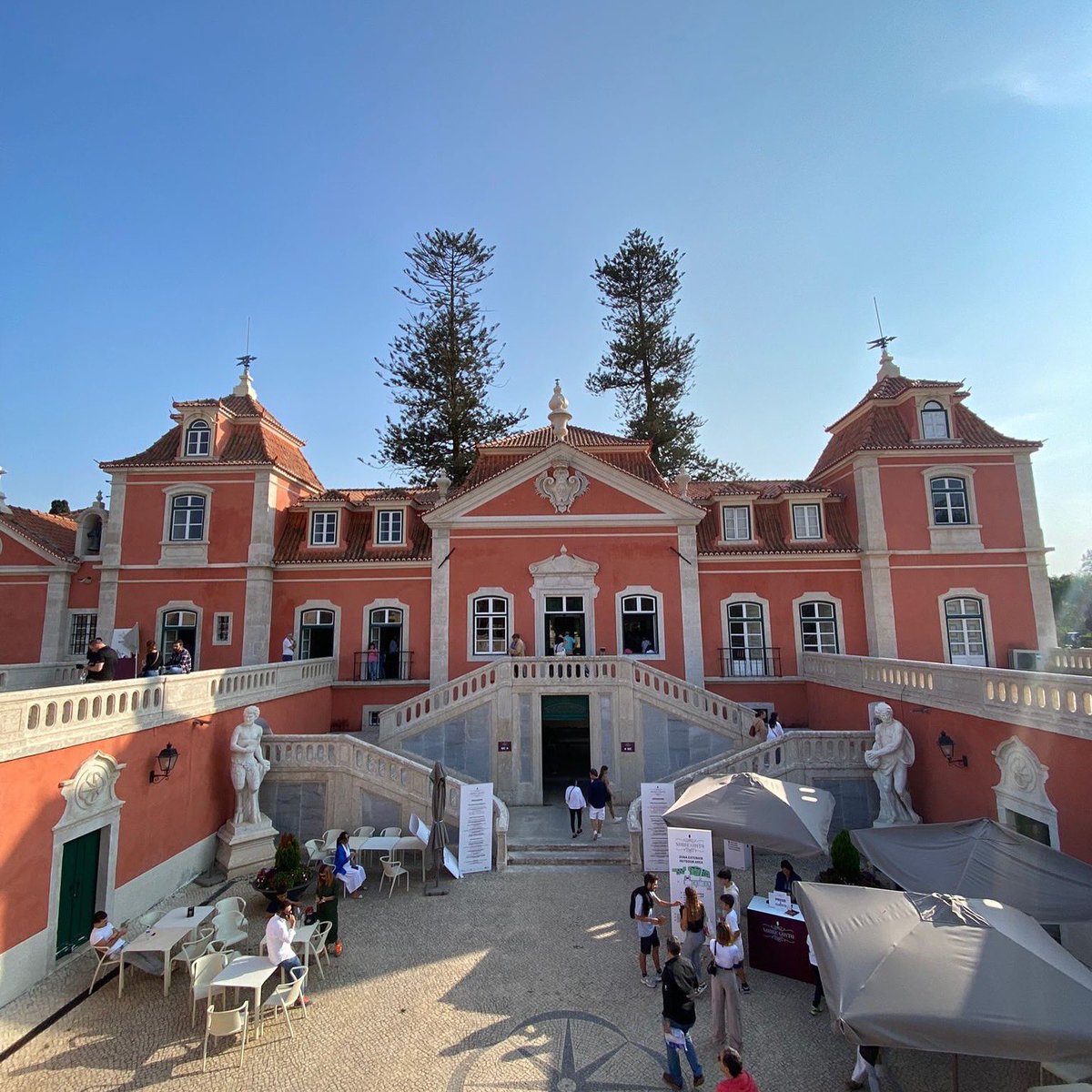Bodegas Infante tweet media