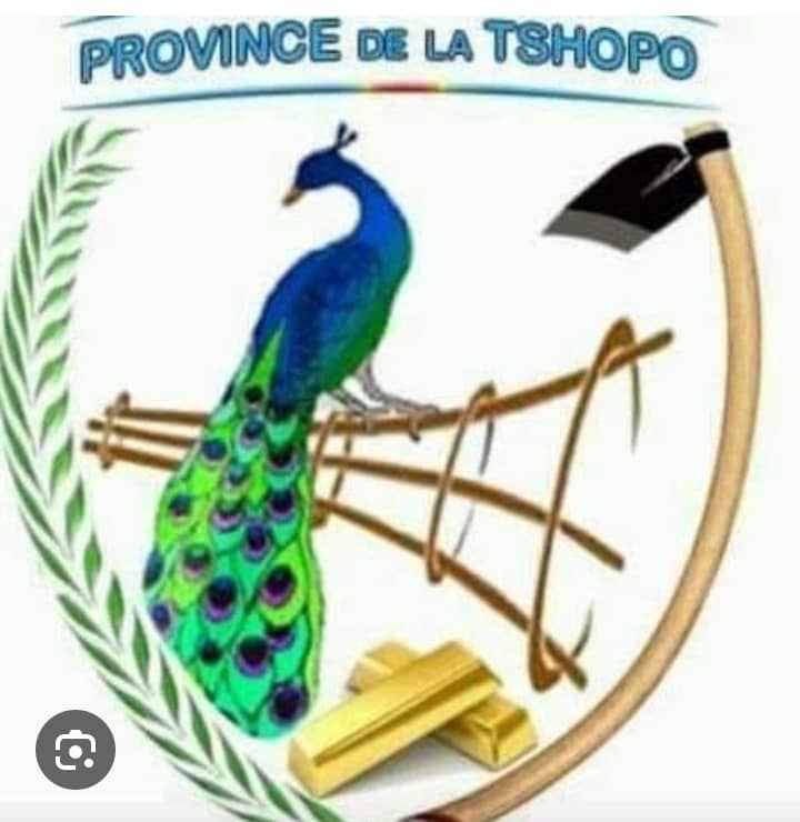 DM_KOMBOZI1's tweet photo. Si c'était à refaire, je poserai toujours cette question '' Qu'est-ce qui bloque la sortie du Gouvernement provincial de la tshopo ? En tout cas, ça me préoccupe, et souci de connaître la vaie cause. @LikundeR @MadeleineNikom2
@VitalKamerhe1 @shabani_lukoo https://t.co/LjWF3eiHcI