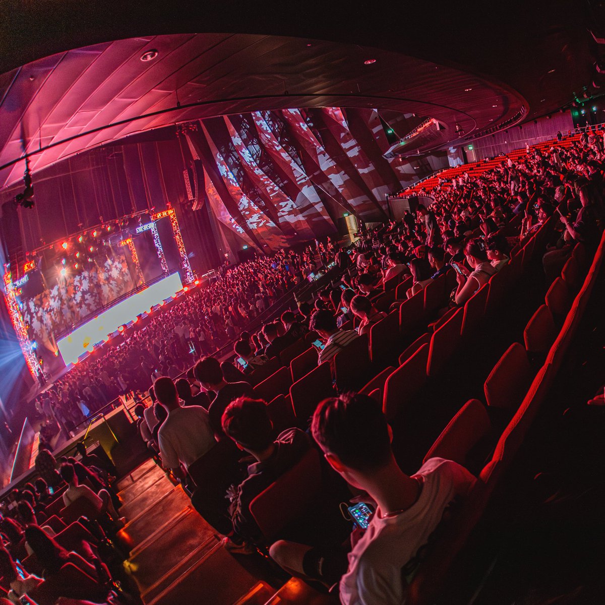 THE COSMOS tweet media