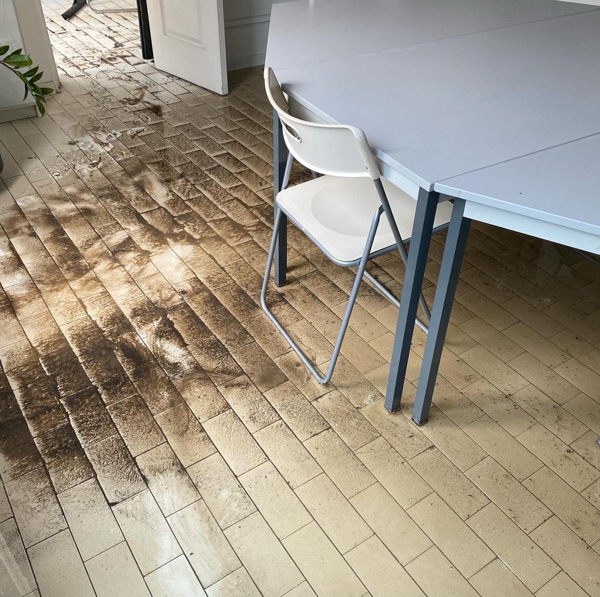 CastroDemariaM's tweet image. 🧹 Ce matin, nettoyage 🧽 🧼. Nous avons été frappés pendant 30 minutes par un énorme flux d’eau dans la rue de Cannes, au #Cannet, qui nous a rappelé les événements de 2015. Et cette fois, aucune information de la préfecture.