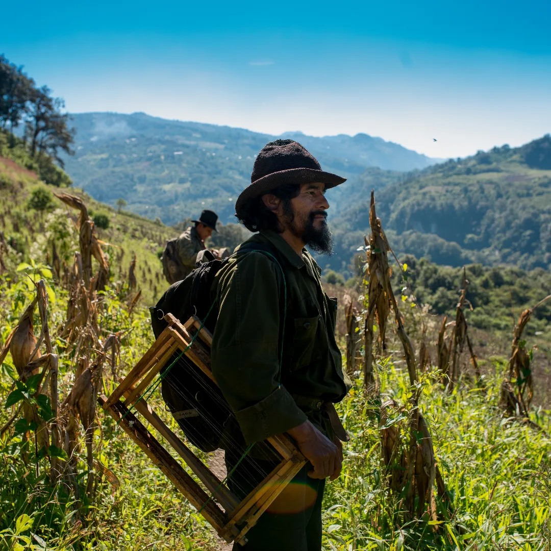 Tzeltal Tzotzil is one of the farmer partners in Chiapas, Mexico whose delicious honey is brought to UK shelves via our partnership with ATO Gepa. Tzeltal Tzotzil has over 300 members and over 4000 beehives. #organic #honey #fairtrade #organicseptember equalexchange.co.uk/collections/ho…