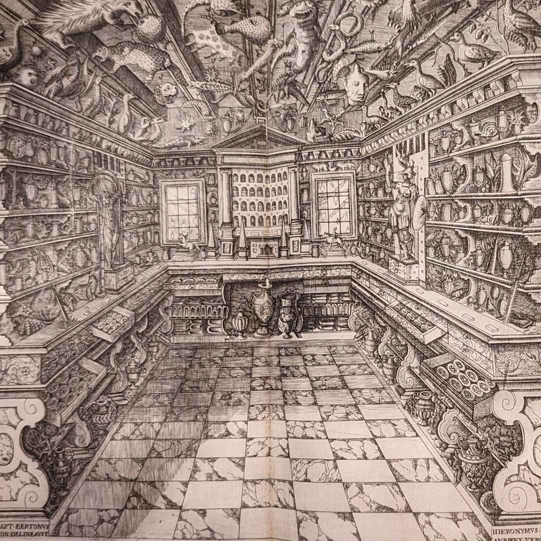 This is the shop of 1600s Italian botanist and apothecary Francesco Calzolari. It shows the fine line between apothecary shop and museum – his collecting was for display purposes as well as for sale and he was known for his vast botanical and zoological knowledge