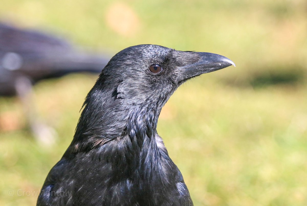 Monday pre- and post-coffee.