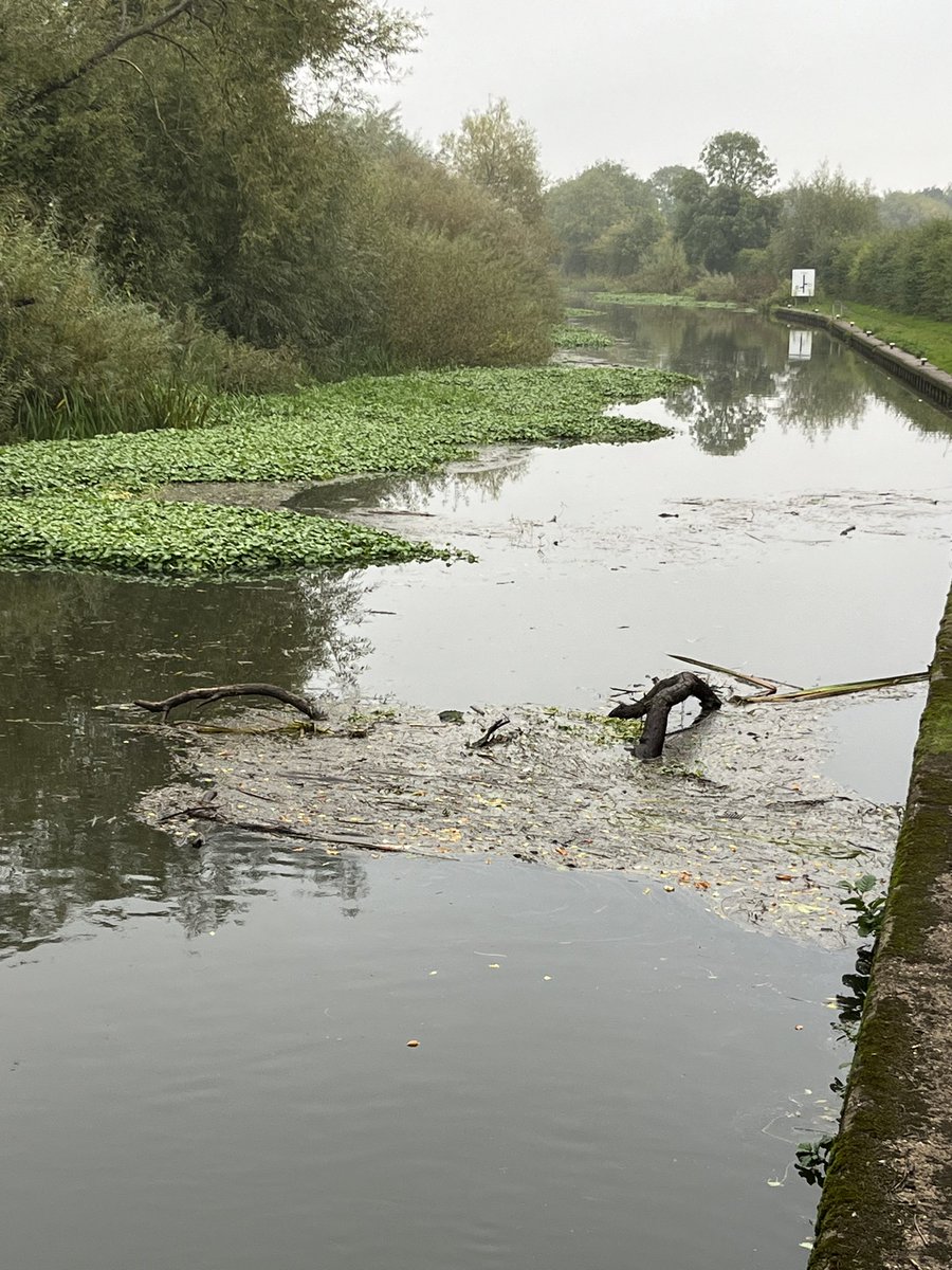 NB Sea Glass | Catherine & Kev tweet media